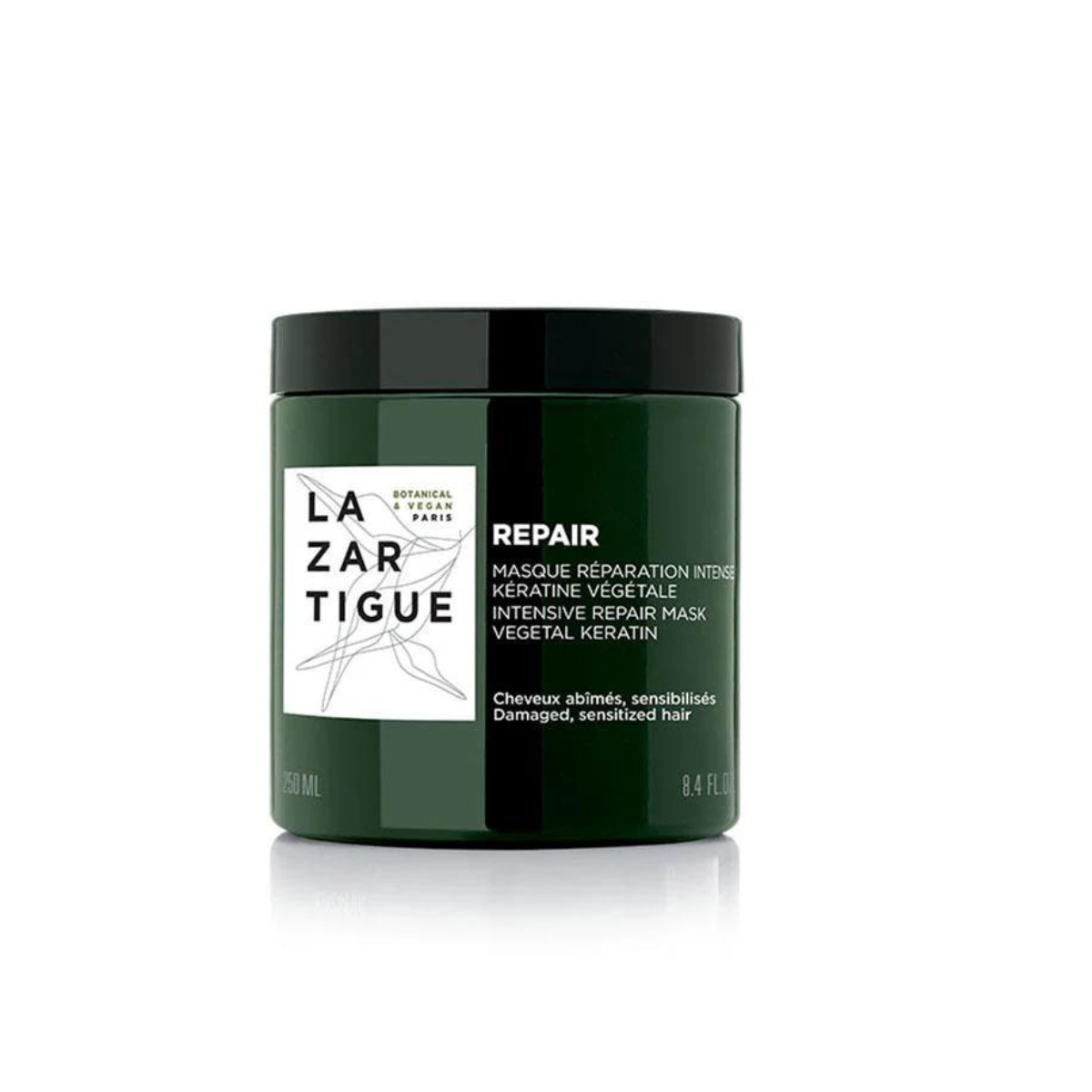 LAZARTIGUE MASK REPAIR
